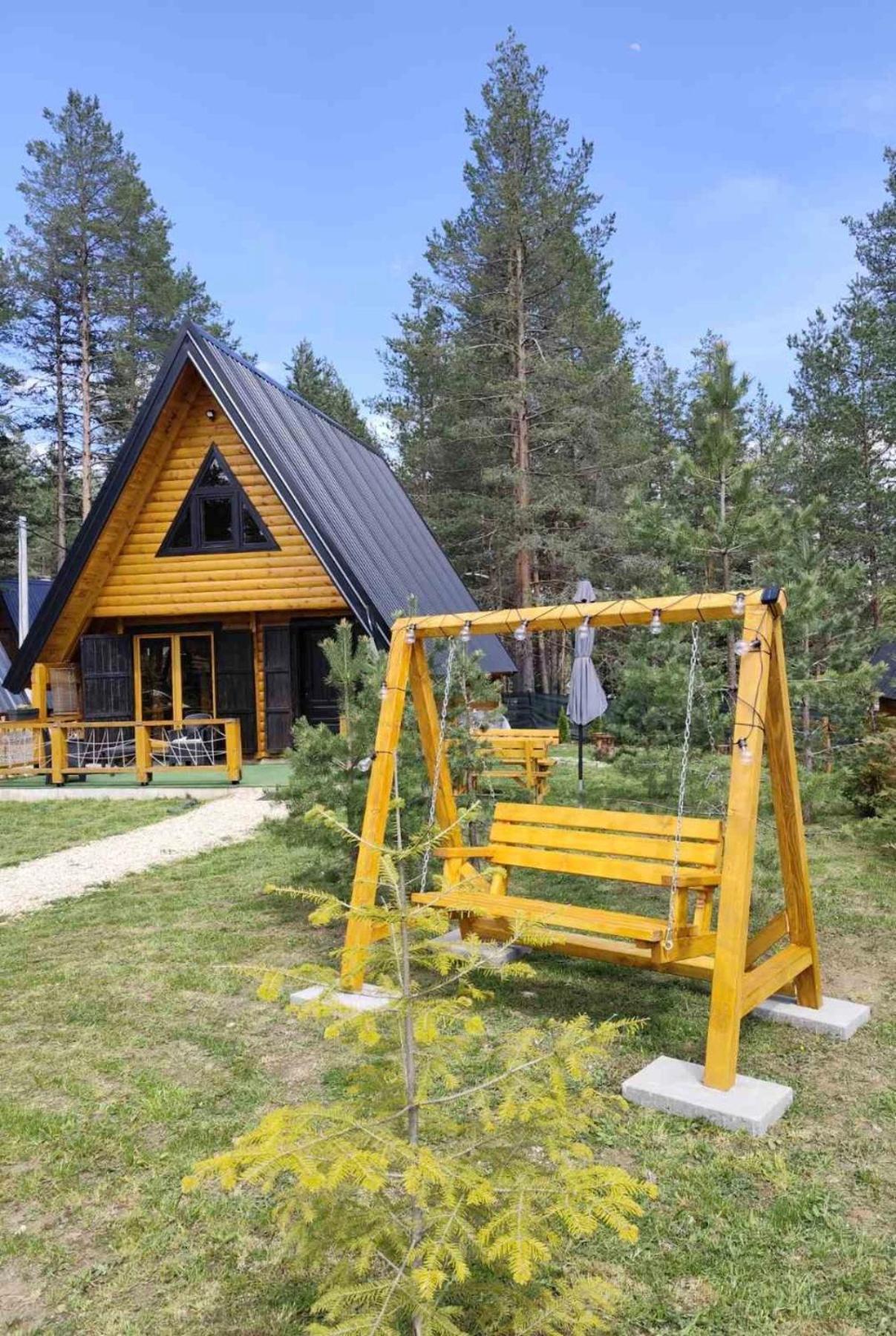 Pine Forest-white Zabljak (Zabljak)